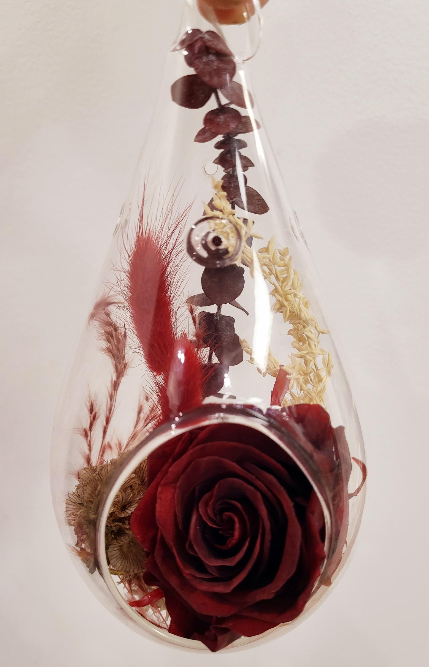 6" Preserved Rose Tear - Burgundy (RT.BR1)