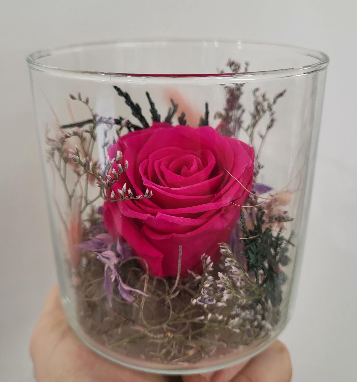 Preserved Rose in Jar - Hot Pink (RJ.HP1)