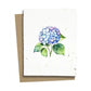 Plantable Greeting Cards - BC