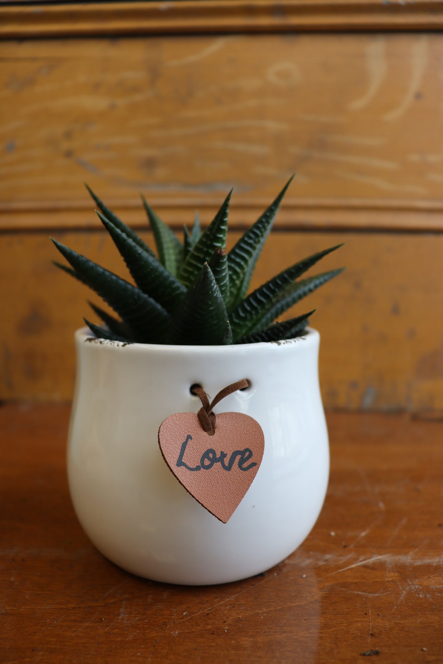 Love Ceramic Pots 4.5"