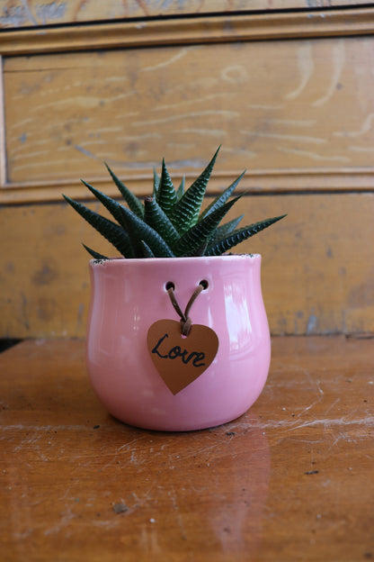 Love Ceramic Pots 4.5"