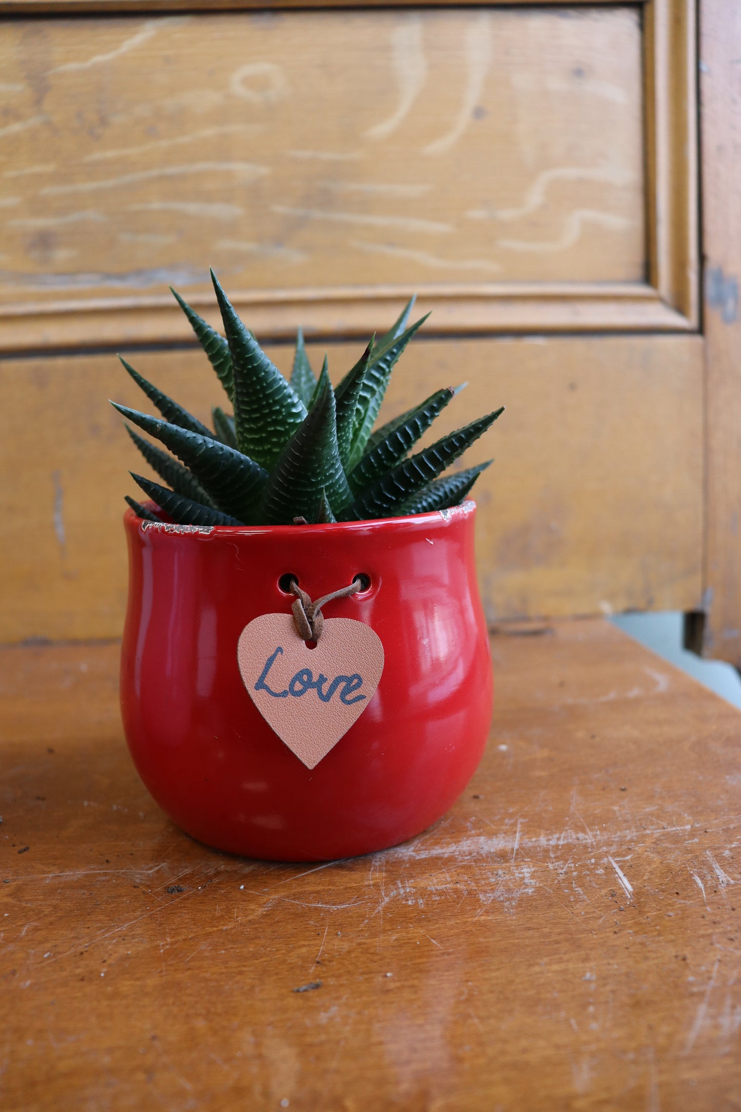 Love Ceramic Pots 4.5"