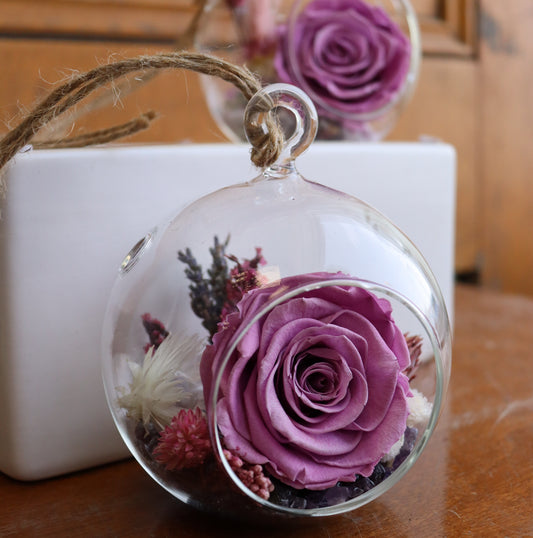 Preserved Rose: Definitely Maybe