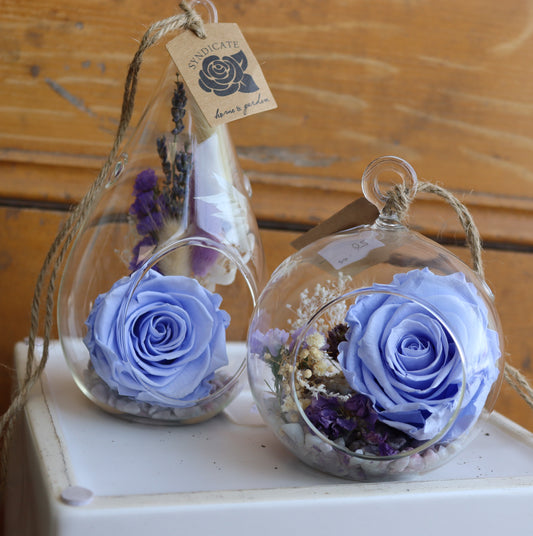 Preserved Rose: The Notebook