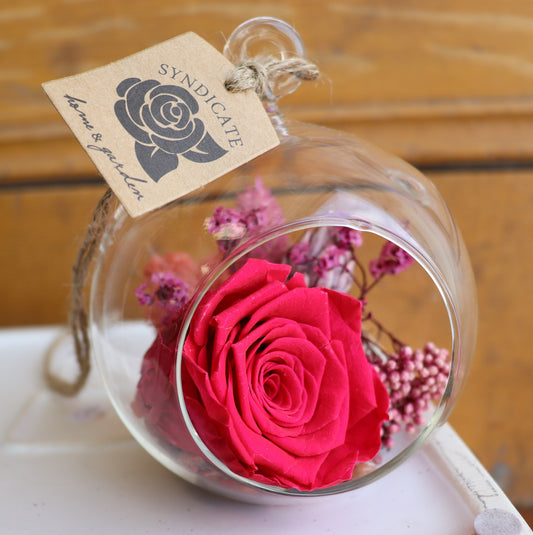 Preserved Rose: Pretty Woman