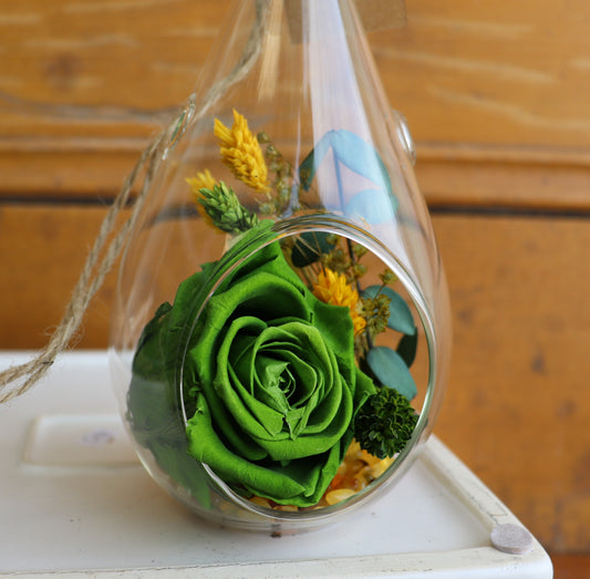 Preserved Rose: Leap Year