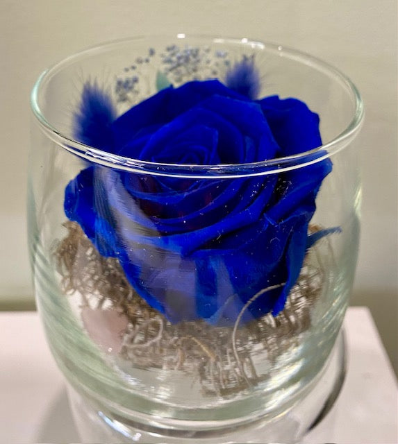 Preserved Rose in Glass Vessel. "Joyful Blue."