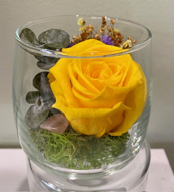 Glass Container With Roses Preserved Rose in Glass Vessel.