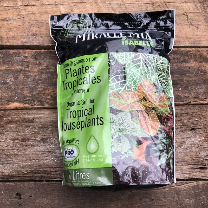Miracle Mix Tropical Mix 6L – Wild Willy's Plants and Flowers