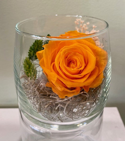 Preserved Rose in Glass. "Orange Crush."