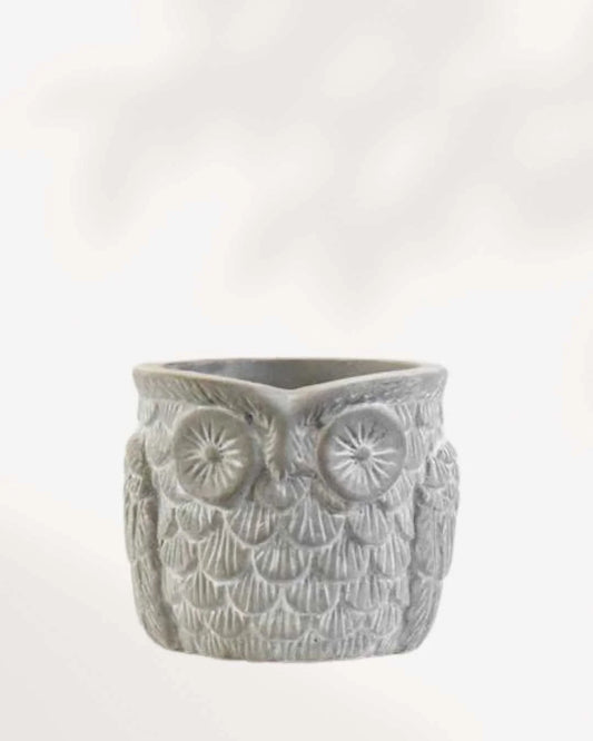 Otis the Owl Pot 2.5"-3"