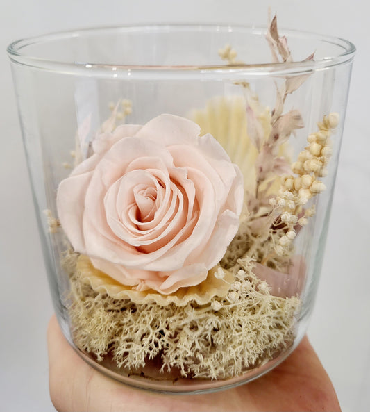 Preserved Rose in Jar - Pale Pink (RJ.PP2)