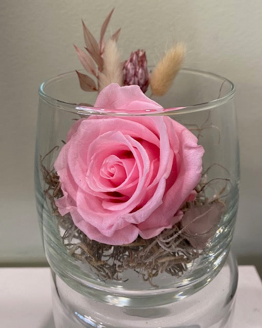 Preserved Rose in Glass Vessel. "Pink Darling."