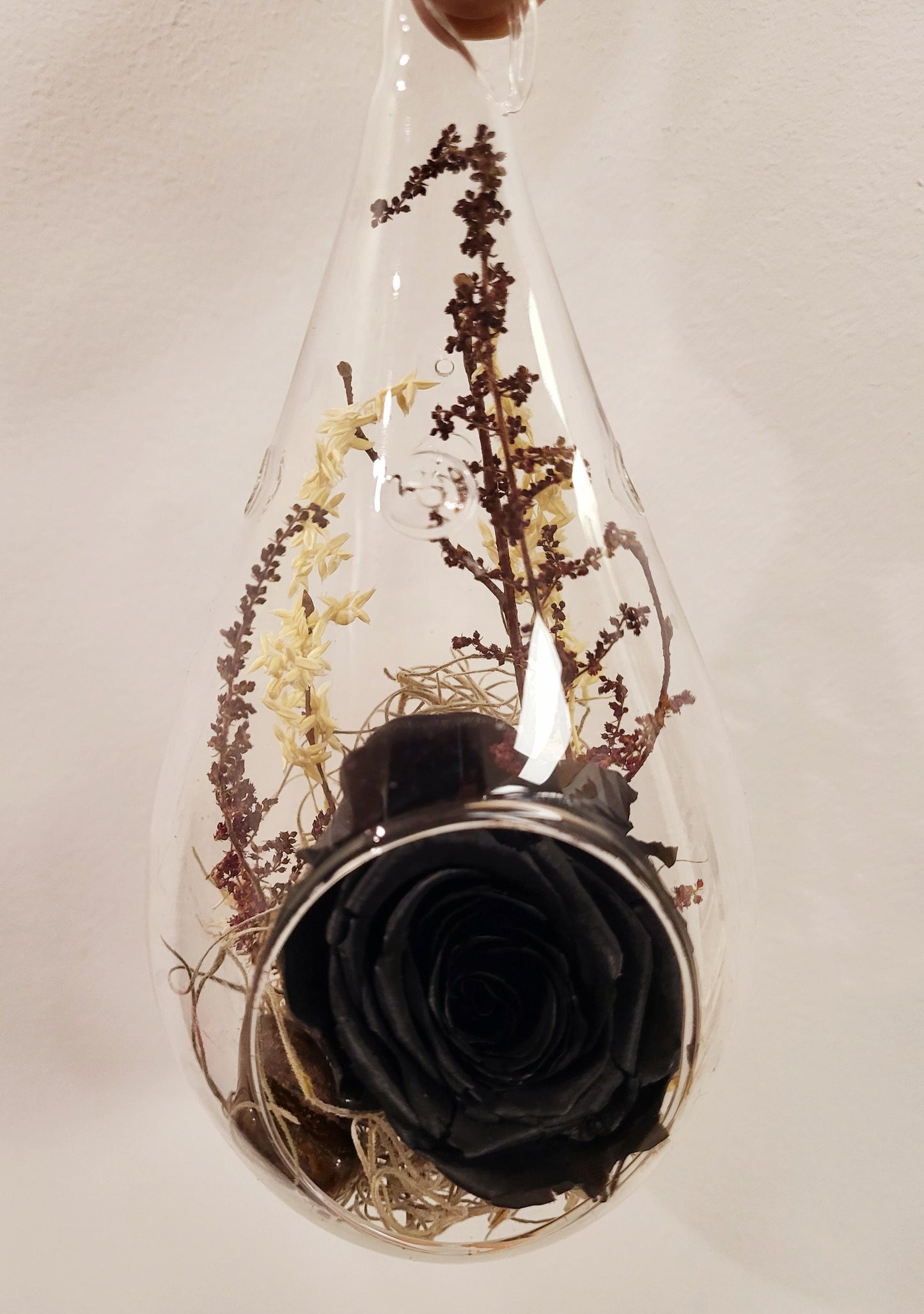6" Preserved Rose Tear - Black (RT.BK2)