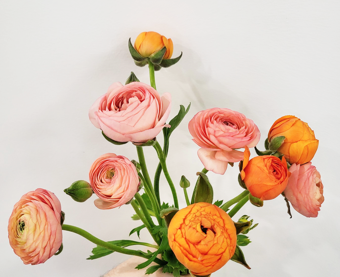 Made With Love - Ranunculus