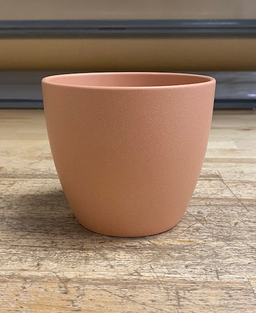 Rosata / Peachy orange terrracottaish 5" Pot