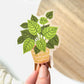 Floral Stickers