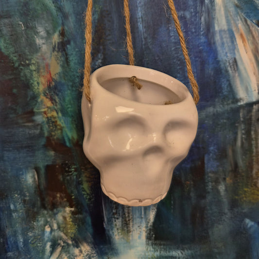 Haunted Hanging Skulls Pot 3"