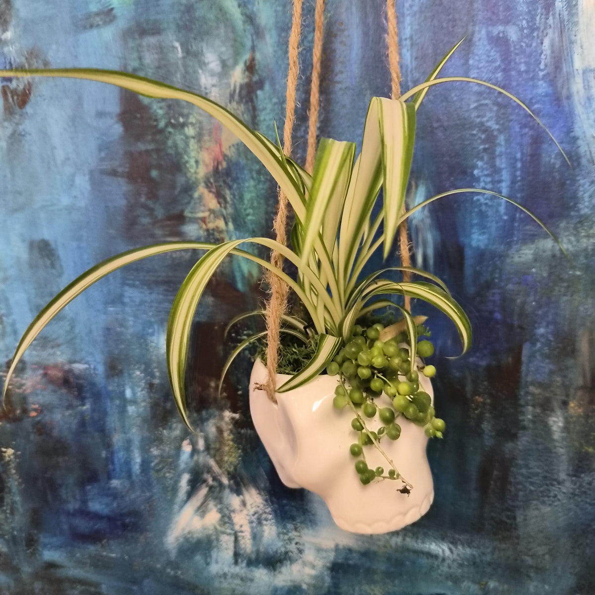 Hanging Skull Pot with Mini-garden