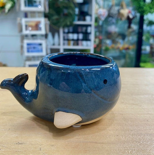 Small Blue Whale Planter