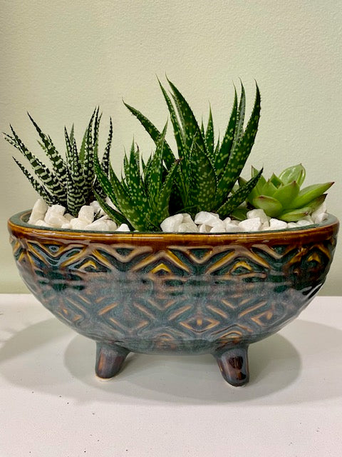 Teal Succulent Oval pedestal