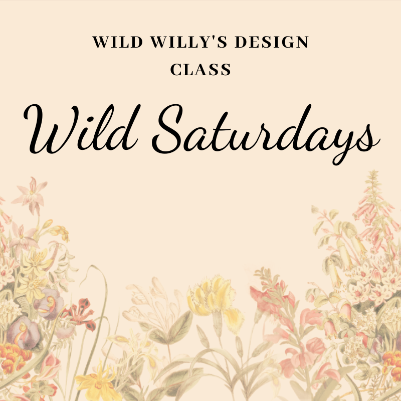 Wild Saturdays  9 am Design Classes: January 13,20,27