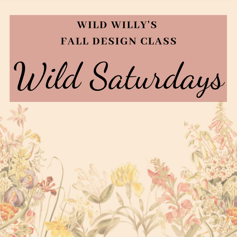 Wild Saturdays 9 AM Fall Design Classes: October 4th, 7th, 14th, 21st and 28th