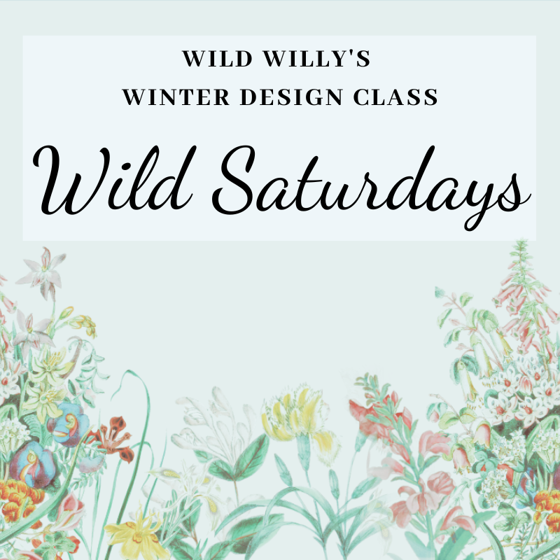 Wild Saturdays 9 AM Winter Design Classes: November 11th, 18th, 25th; December 2nd, 9th, 16th