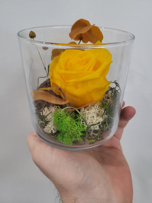 Preserved Rose in Jar - Yellow (RJ.YE3)