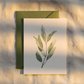Floral Greeting Cards - BC