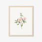 Botanical Art Prints - BC