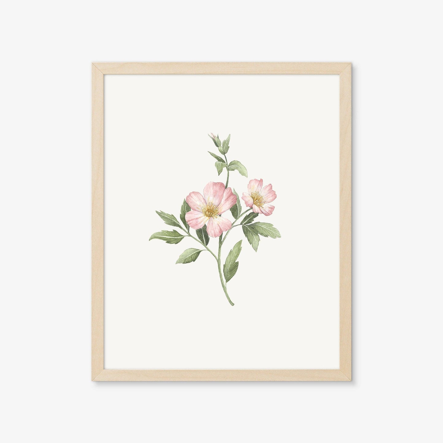 Botanical Art Prints - BC