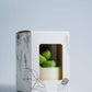 Soy Blend Candle - Succulent
