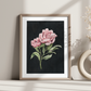 Botanical Art Prints - BC
