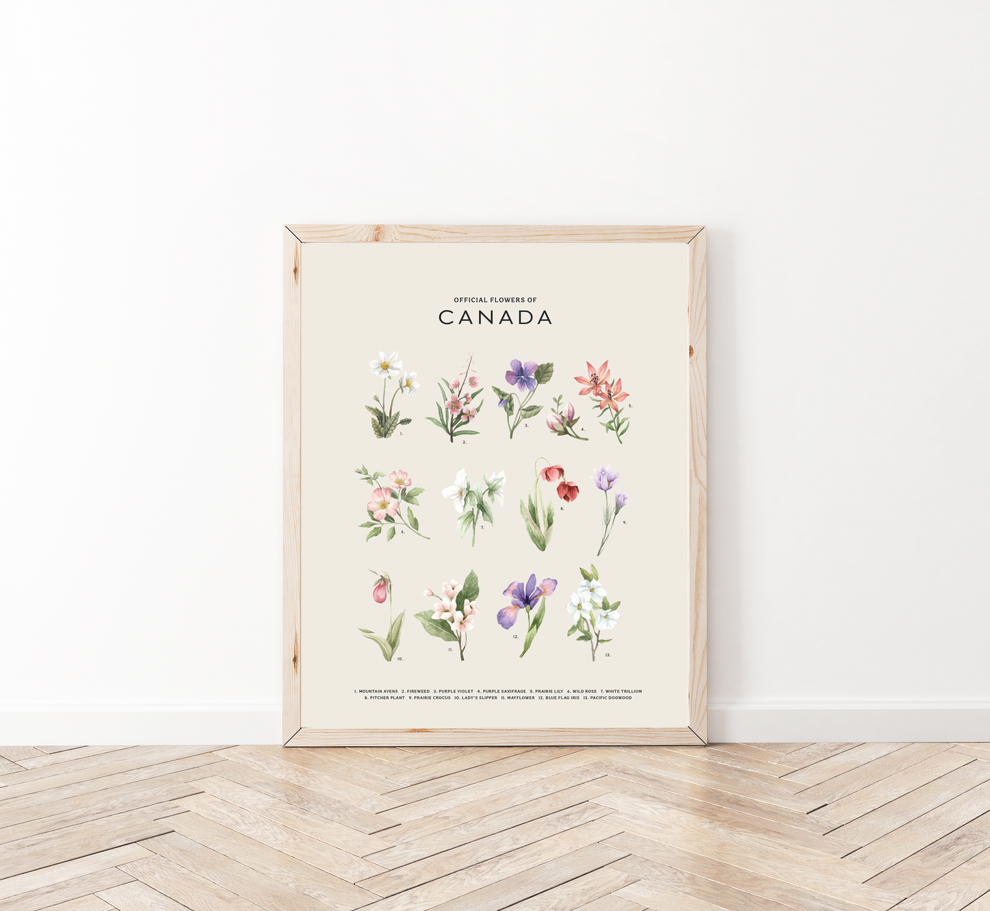 Botanical Art Prints - BC