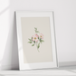 Botanical Art Prints - BC