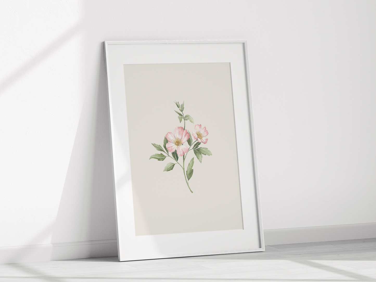 Botanical Art Prints - BC