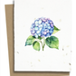 Plantable Greeting Cards - BC