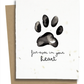 Plantable Greeting Cards - BC