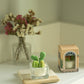Tealight Candles - Fairy Castle Cactus