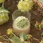Soy Blend Candle - Nikko Blue Hydrangea