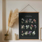 Botanical Art Prints - BC