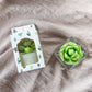 Tealight Candles - Succulent