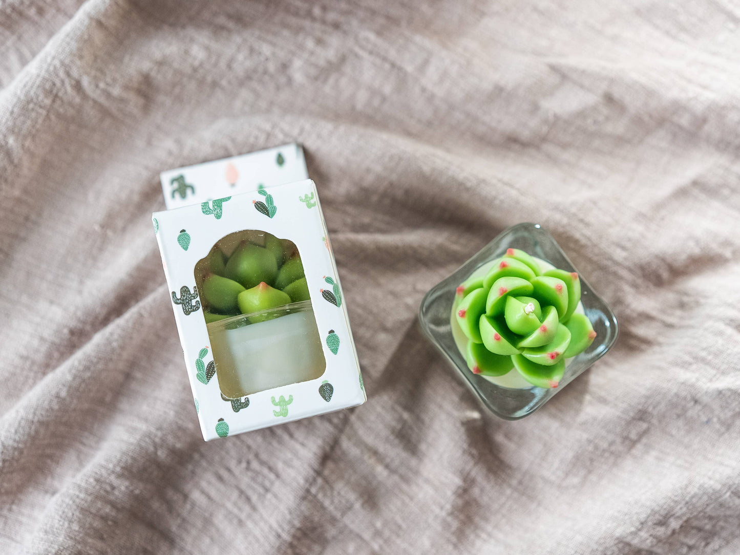 Tealight Candles - Succulent