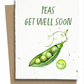 Plantable Greeting Cards - BC