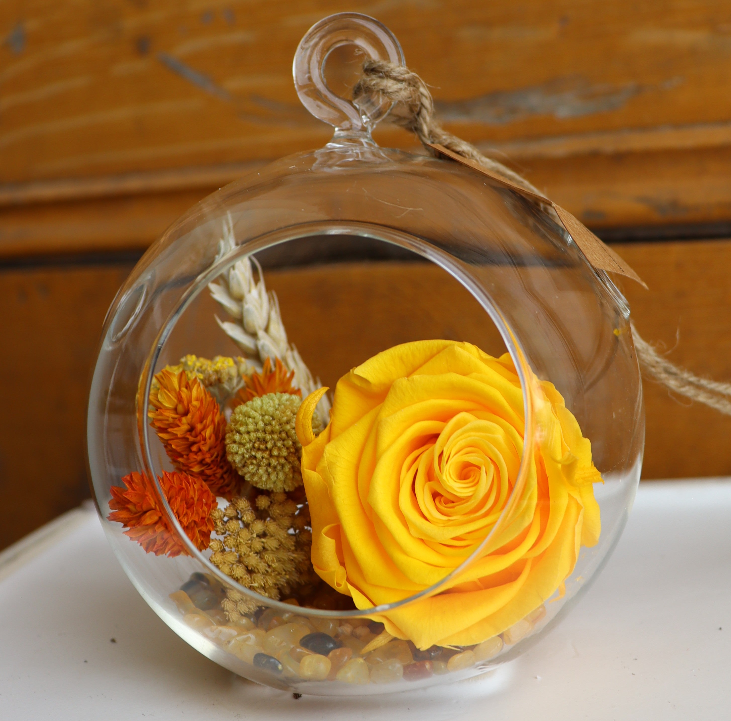 Preserved Rose: Before Sunrise – Wild Willy's Plants and Flowers