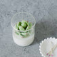 Soy Blend Candle - Succulent