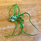 Tillandsia - Air Plants