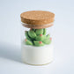 Soy Blend Candle - Succulent