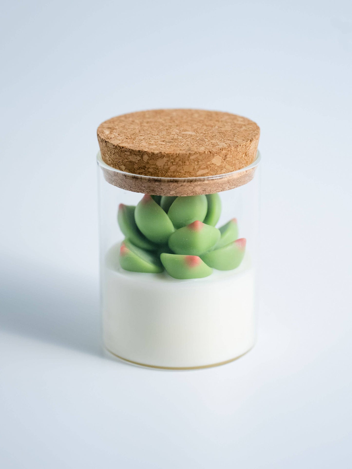 Soy Blend Candle - Succulent